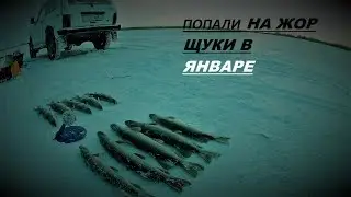 Попали на жор ЩУКИ! В январе 2019.