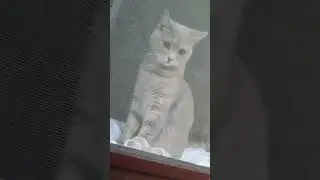Тесно внутри, Снаружи опасно. #2024 #nature #cute