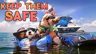 HOW TO SAFETY:  BOATING TIPS FOR YOUR PET
