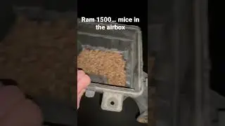 Anyone else ever seen anything like this? Couldn’t believe my eyes.