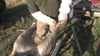 Head Removal