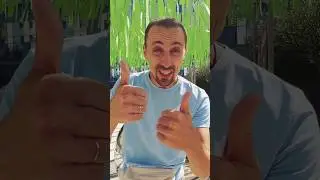 Подробности и билеты https://sobaka.su/item/2602-kvartet-viktora-garaguli-jazzero