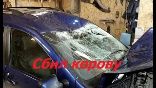 Лада Ларгус. Кузовной ремонт крыши. Сбили корову.