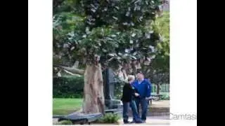 Растим Миллионеров!