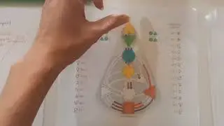 Расшифровка бодиграфа