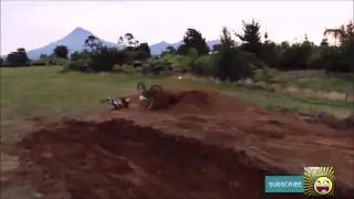 САМЫЕ ЛУЧШИЕ ПРИКОЛЫ