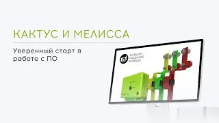 Мелисса и Кактус: уверенный старт в работе с ПО