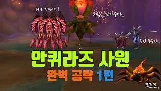 [와우클래식] 안퀴라즈 사원 완벽공략 1편(스캐람,살투라,판크리스,후후란) Temple of Ahn'Qiraj guide part1