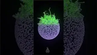 Interesting... | 3D VFX