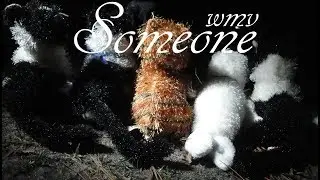 Someone | Webkinz Music Video
