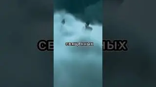 Книга,которая заслуживает 100% доверия