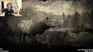 xQc Getting Mad At Dono for Picking Wrong Red Dead Redemption Storyline (Old Clip)