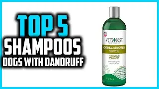 ✅Top 5 Best Shampoos for Dogs With Dandruff in 2024