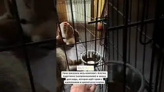 Комплект номер 6