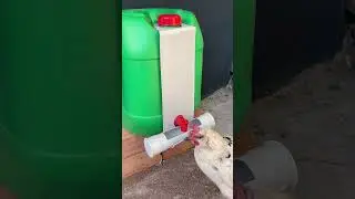 30 Liter Automatic Chicken Waterer Made from PVC Pipe