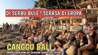 BALI IS INVASED BY FOREIGNERS! CANGGU BEACH, BALI
