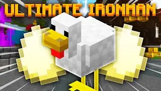 How I Got A lot Of Eggs On Ironman! (Hypixel Skyblock Ultimate Ironman #3)