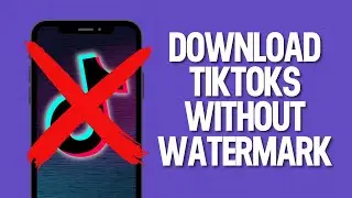 How to Download TikTok Videos Without Watermark