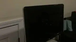 Curb Find HP Monitor! Will it work?