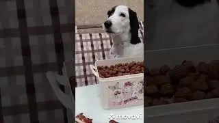 Маню поднять подняли, а разбудить забыли 😂😂😂😂😂😂