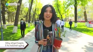 Хитой атиргули ҳақида 5 та маълумот айтинг