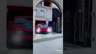 🇦🇲🇦🇲🇦🇲💩💩💩 elməninlərin xaynına bıdaxa qoydu