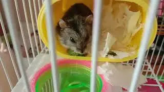 Прибавление в Нашей семье😉