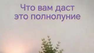 ПОДСКАЗКА ДЛЯ ВАС! 💫💥ЧТО ПОСЛЕ ПОЛНОЛУНИЯ🌚