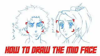 HOW TO DRAW THE MID FACE
