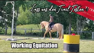 Packen wir den Schnuppertag Trail ?  Working Equitation Nordhessen bereitet sich vor!