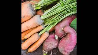 Ep. 40: Reducing toxic metals in food
