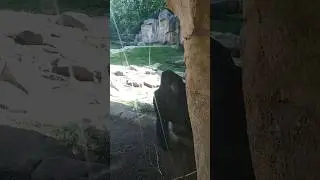Это я,  сижу и думаю как разбогатеть не работая 😀😀