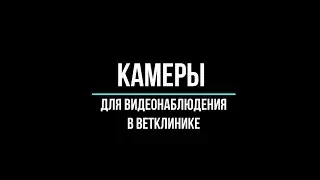 🔥Камеры для видеонаблюдения в ветклинике