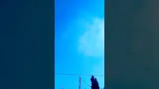 short video