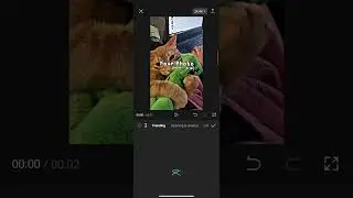 Vibration Flash Transition Effect | Capcut Tutorial