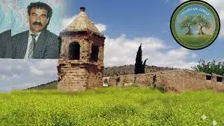 اجمل اغاني منوعات عدنان دلبرين عفرين #حالات #كردية 