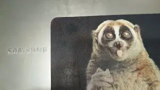 531.Обзираем нашедший ноутбук 💻🤓И размышления как же быть? 🤔