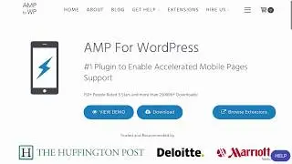 AMP for WP: Email Opt-in Forms WordPress Plugin Review