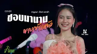 ชอบมานาน(ผางเข้าแล้ว) - นิตา ลลดา ( Live Session)