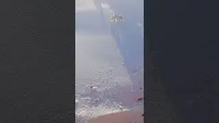 18 марта 2024 г.