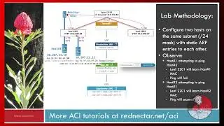 FlashLab-01 ACI layer 2 learning on a single ACI switch