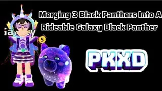 Merging 3 Black Panthers Into A Rideable Galaxy Black Panther 😍😍😍 #pkxduniverse #pkxdpet #pkxdgame