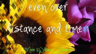 Sunflower Sunshine - Quotes & Expressions: msdv88 11-1-2013