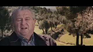 Salvador Miralles TTE