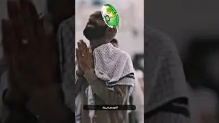 Deedar e Muhammad ﷺ Ho - Shorts - Peace Studio