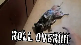 I can not believe she did this!!!!