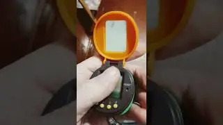 Тамагочи. Tamagotchi.