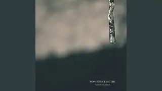 Winter Twilight