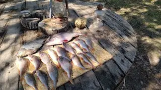 Копчёный окунь