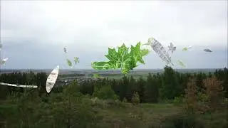 Вокальный коллектив 